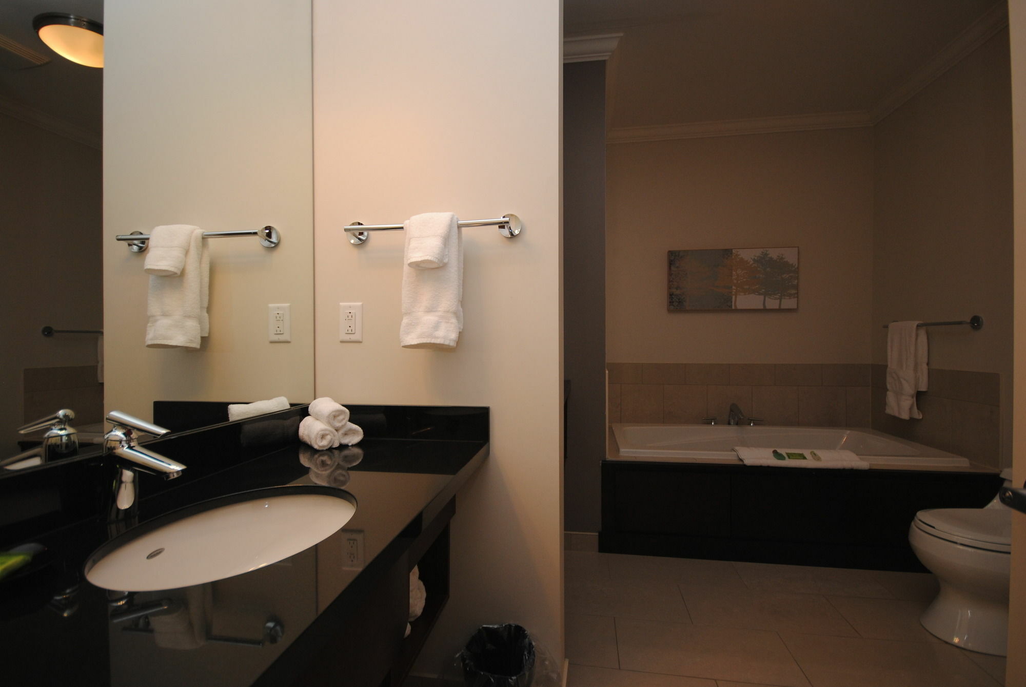 Premiere Suites - St. John'S Signal Hill Gate Zewnętrze zdjęcie